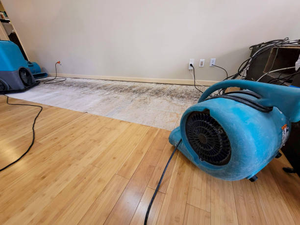 Professional Burst Pipe Water Damage technician working in Bell Buckle, TN
